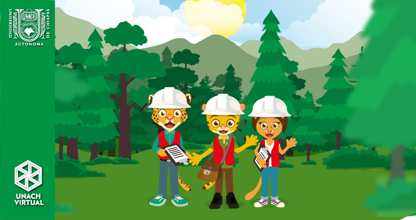 16 de agosto. Día del Ingeniero Forestal