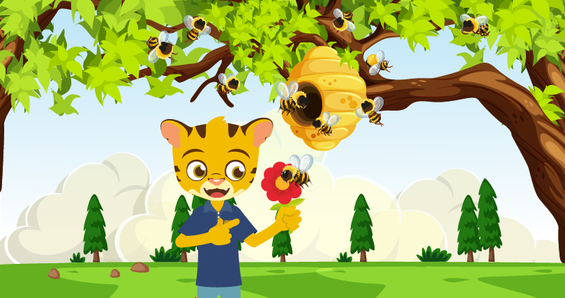 20 de mayo: Día Mundial de las Abejas